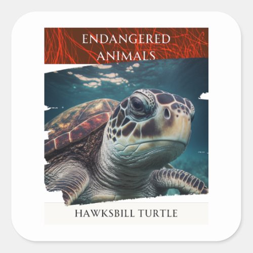 Endangered Animals _ Hawksbill Turtle Square Sticker