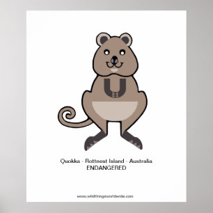 Endangered Aussie animal -QUOKKA - poster