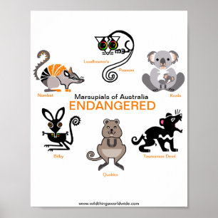 Endangered Australian animals -MARSUPIALS - Poster