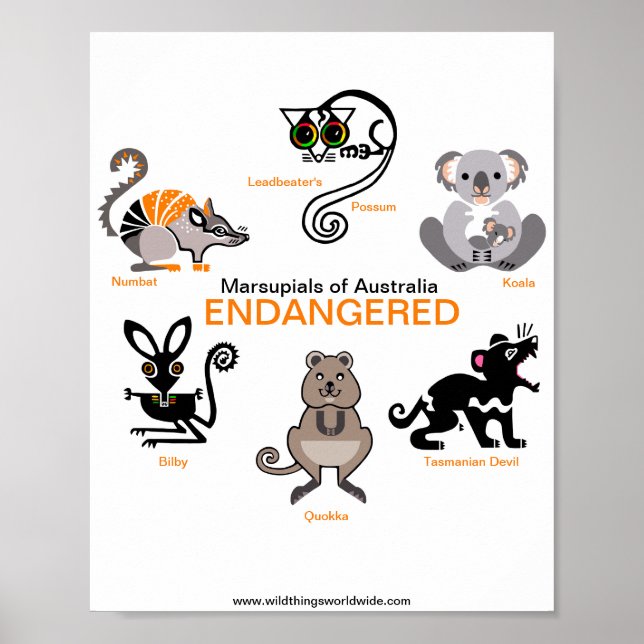 Endangered Australian animals -MARSUPIALS - Poster (Front)