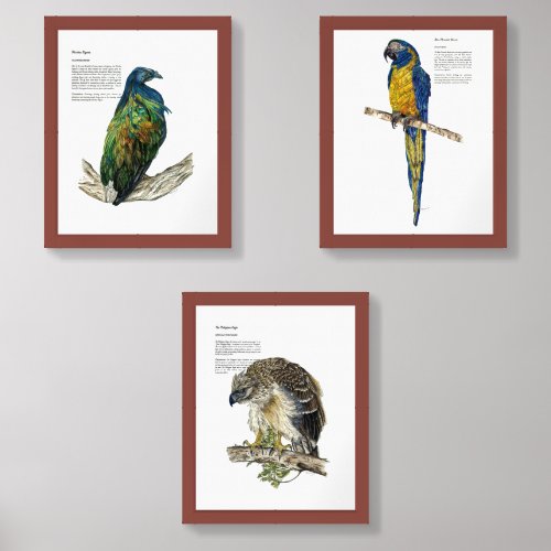 Endangered Birds Hand Painted Print  Wall Art Sets