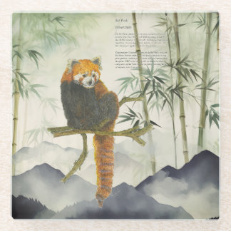 Endangered Cute Hand-Painted Red Panda Glass Coaster