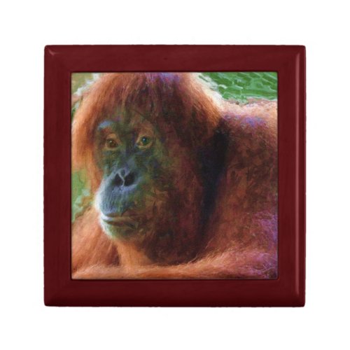 Endangered Female Orangutan Primate Portrait Jewelry Box