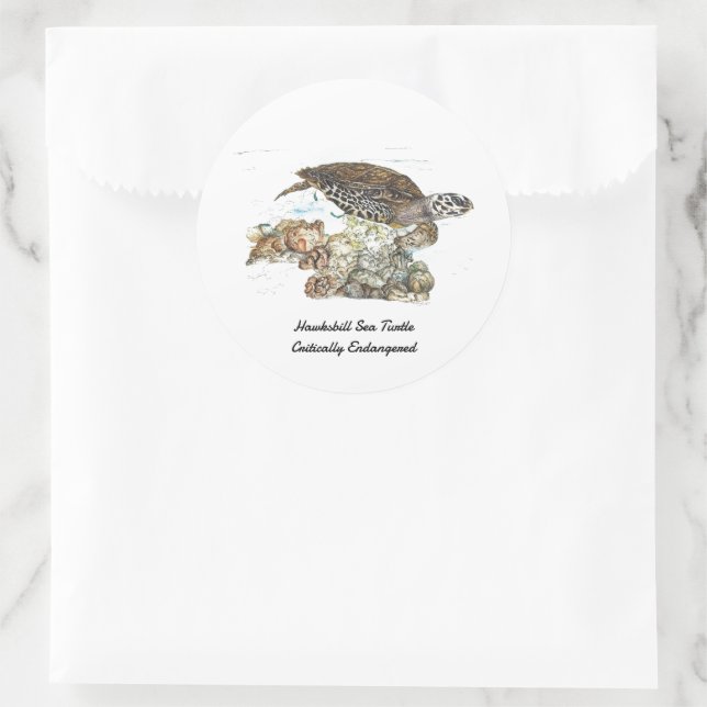 Endangered Hand-Painted Hawksbill Turtle Classic Round Sticker (Bag)