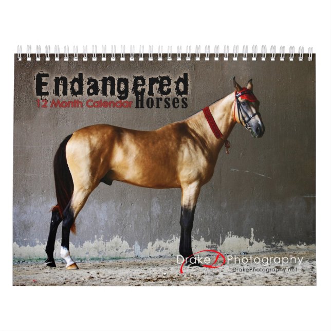 Endangered Horse Breeds Calendar (Cover)