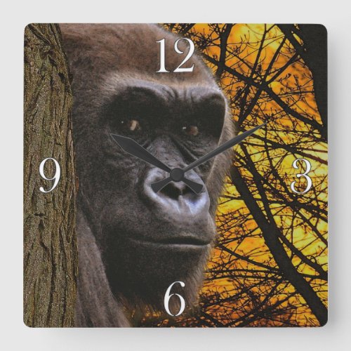 Endangered Lowland Gorilla  Rainforest Square Wall Clock