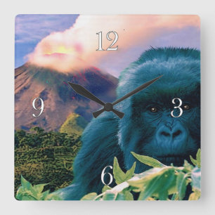 Endangered Mountain Gorilla & African Volcano Square Wall Clock