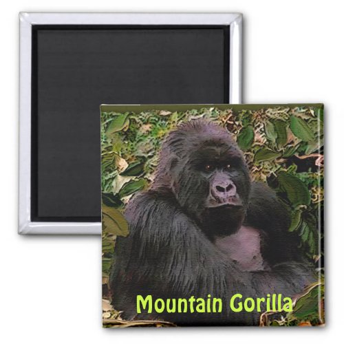 Endangered Mountain Gorilla Great Apes Art Magnet