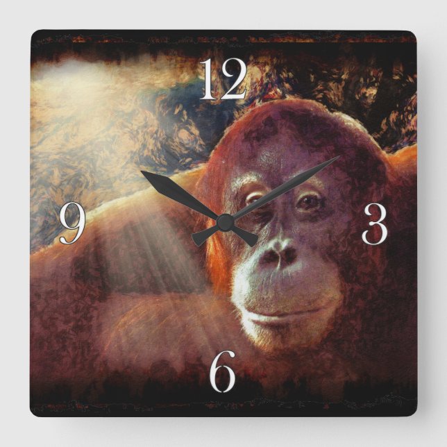 Endangered Orangutan & Rainforest Primate Image 2 Square Wall Clock (Front)
