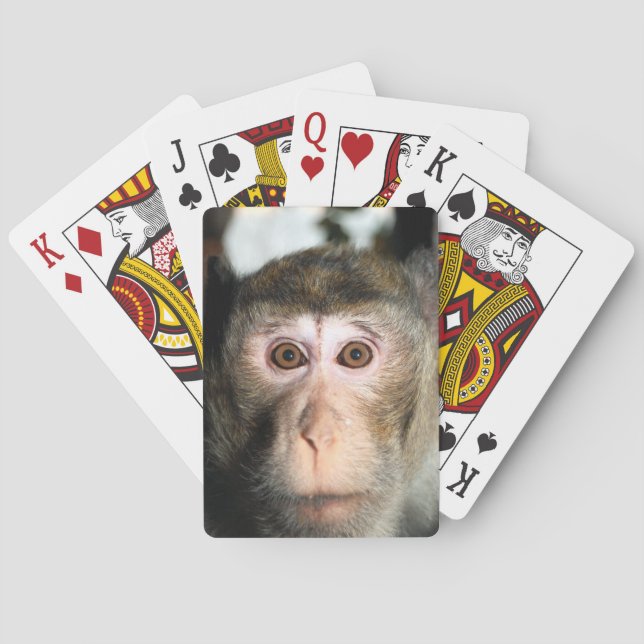 Endangered Rainforest Ape Poker Cards (Back)