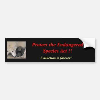Endangered Species Bumper Sticker by angelworks at Zazzle