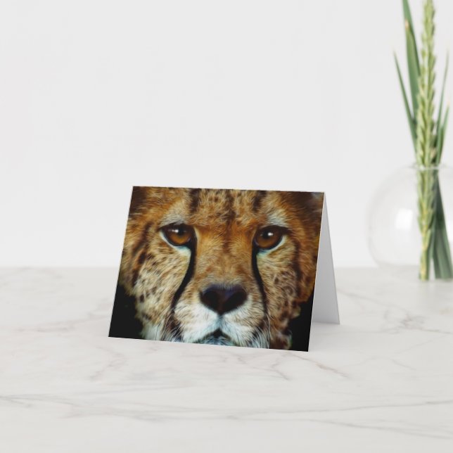 ENDANGERED SPECIES CHEETAH Greeting Card (Front)