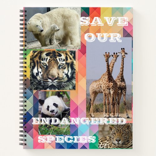 Endangered Species Notebook