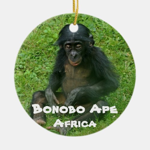 Endangered Species Series Bonobo Ape Ceramic Ornament