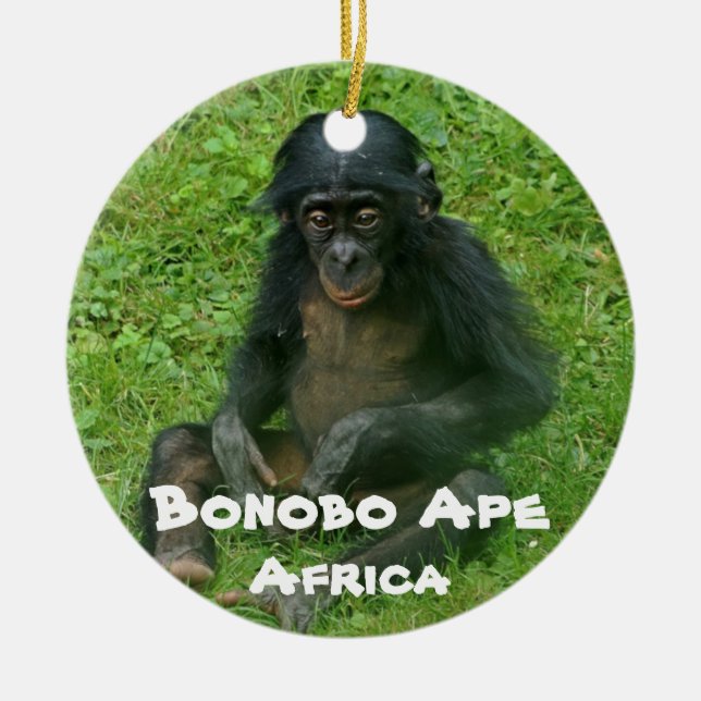 Endangered Species Series Bonobo Ape Ceramic Ornament (Front)