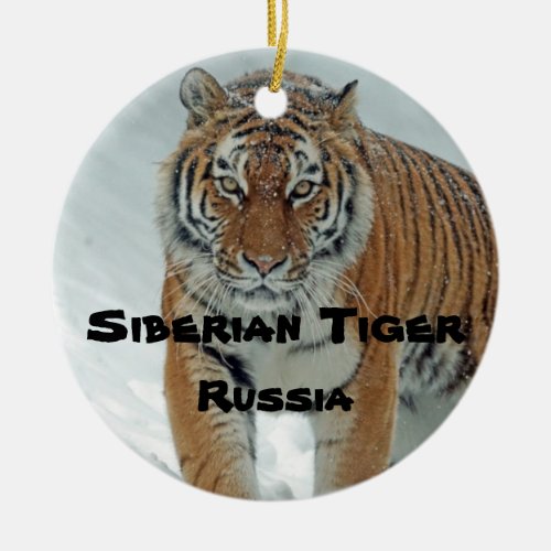 Endangered Species Series Siberian Tiger Ornament
