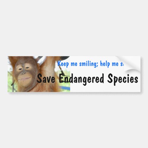 Endangered Species Smiling Orangutan Bumper Sticker