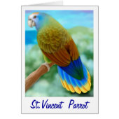 Endangered St Vincent Parrot Card (Front)