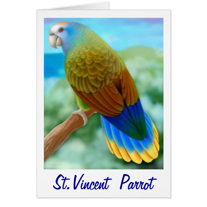 Endangered St Vincent Parrot Card