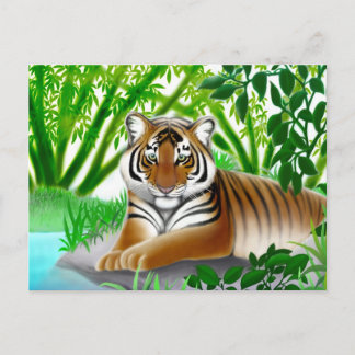 Endangered Sumatran Tiger Postcard