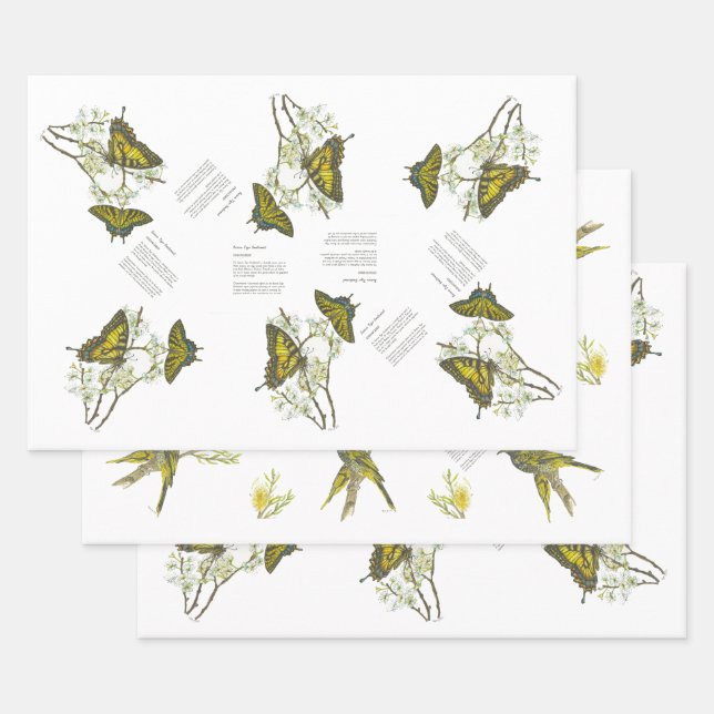 Endangered Swallowtail and Honeyeater Handpainted Wrapping Paper Sheets (Set)