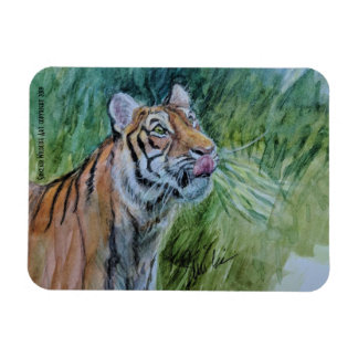 Endangered Tiger Magnet