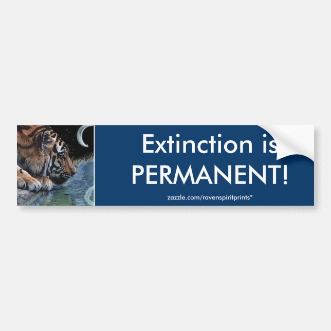 ENDANGERED TIGERS  Bumper Sticker Series (Front)