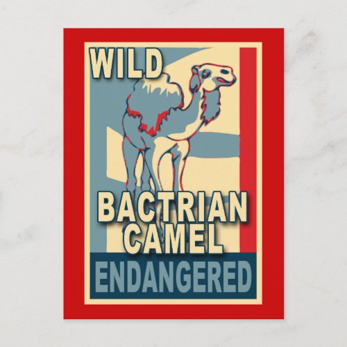 Endangered Wild Bactrian Camel Pop Art Tshirts Postcard
