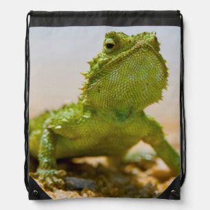 Endemic Male Namaqua Agama In The Sunlight Drawstring Bag