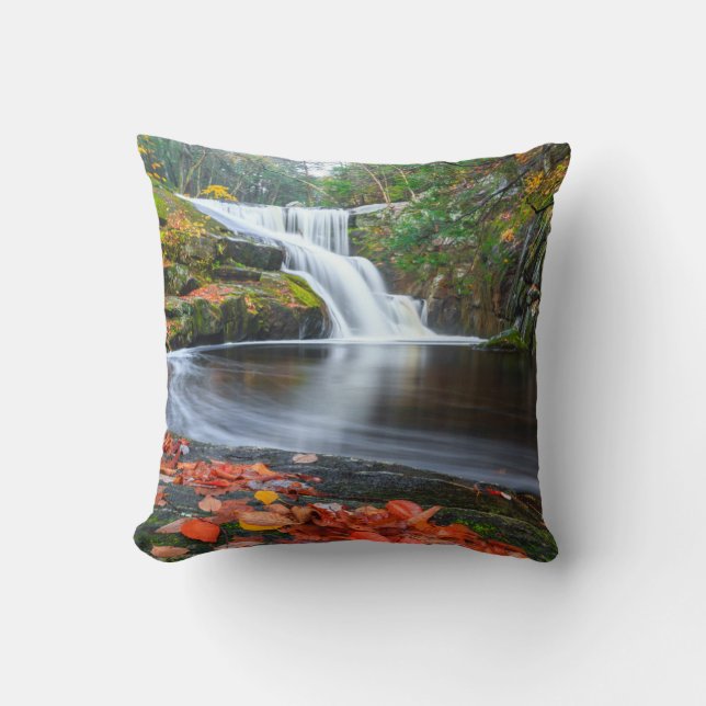 Ender's Falls in Fall Throw Pillow (Front)