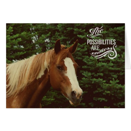 Endless Possibilities Paint Horse Mare