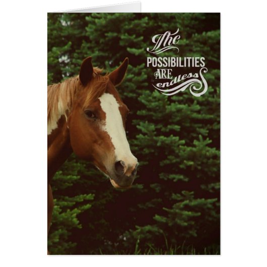 Endless Possibilities Paint Horse Mare Cards (Front)