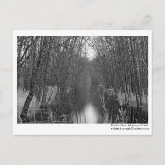 Endless River Postcard