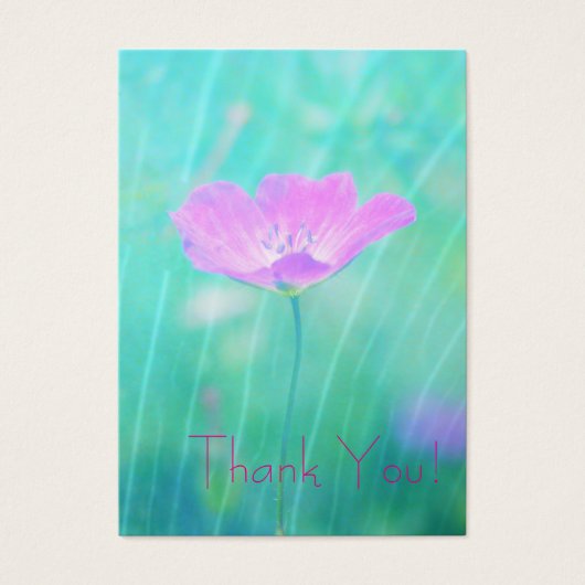 endless summer (Front)