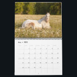 Endo The Blind 2023 Calendar<br><div class="desc">Endo's 2023 Calendar! Full of beautiful pictures from amazing photographers.</div>