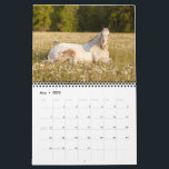 Endo The Blind 2023 Calendar<br><div class="desc">Endo's 2023 Calendar! Full of beautiful pictures from amazing photographers.</div>