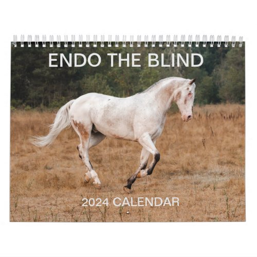 ENDO THE BLIND _ 2024 Calendar