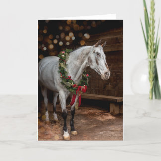 Endo the Blind Christmas Card