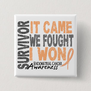 Endometrial Cancer Survivor It Came We Fought Pinback Button