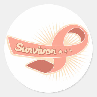 Endometrial Cancer Survivor Ribbon Classic Round Sticker