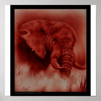 Endone Elephant Poster