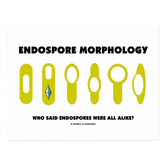 Endospore Morphology   Who Said Were All Alike? Postcard