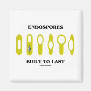 Endospores Built To Last (Bacterial Attitude) Magnet