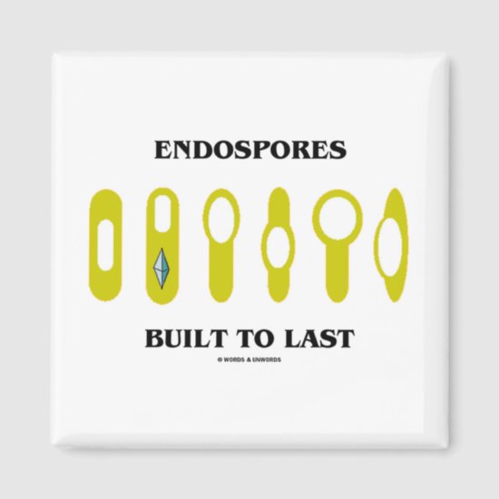 Endospores Built To Last (Bacterial Attitude) Magnet