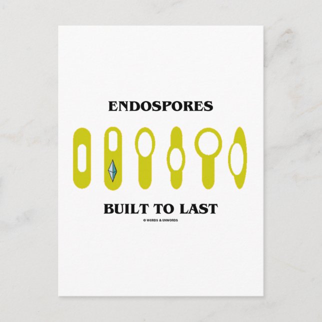 Endospores Built To Last (Bacterial Attitude) Postcard (Front)