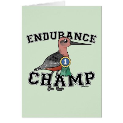 Endurance Champ