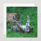 Energetic Tiger Cubs (Front/Back)