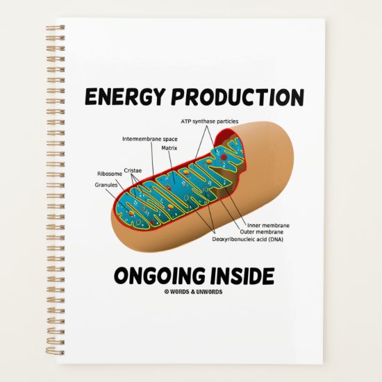 Energy Production Ongoing Inside Mitochondrion Planner
