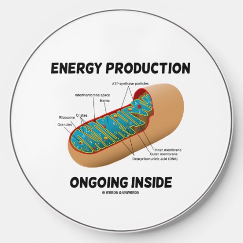 Energy Production Ongoing Inside Mitochondrion Wireless Charger