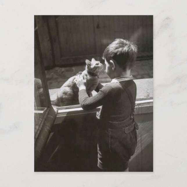 Enfant et son chat - Willy Ronis Postcard (Front)